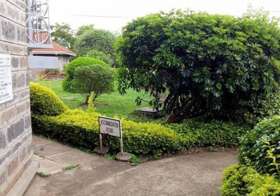 Kolping Organization Of Kenya 102