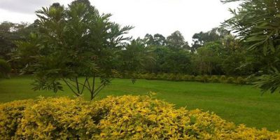 Kolping Organization Of Kenya 72